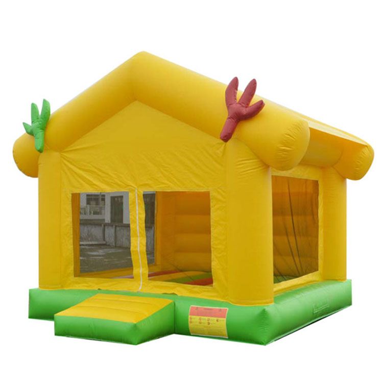 Small indoor outdoor kids jumping castle inflatable